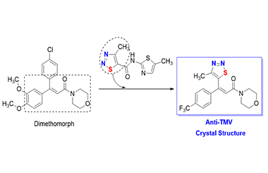 Synthesis, Crystal Structure and Anti-TMV Activity of (Z)-4-[3-(4-Methyl-1,2,3-thiadiazol-5-yl)-3-(4-trifluoromethylphenyl)acryloyl]morpholine 2011-2753